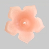 Floating candle Bloom, pinkish, 3.1 by 3.1 in., burns approx. 4 hours